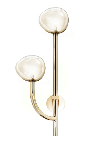 Honey Glass 2-Light Soft Gold Wall Sconce