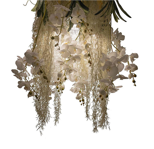 Phalaenopsis Botanical Chandelier