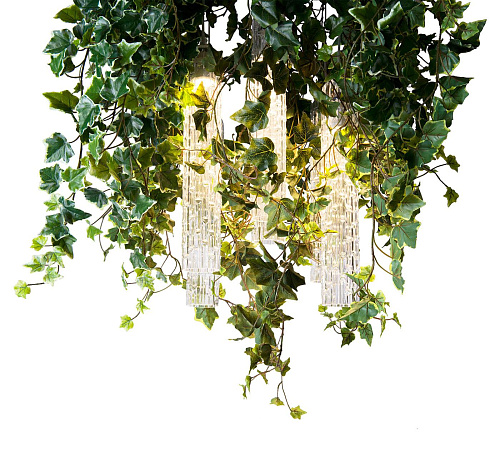 Ivy Botanical Chandelier