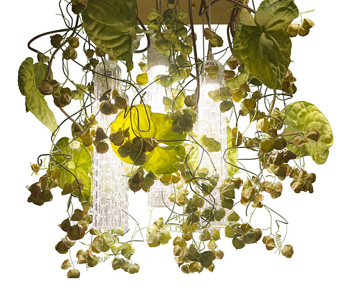 Physalis Anthurium Italian Chandelier