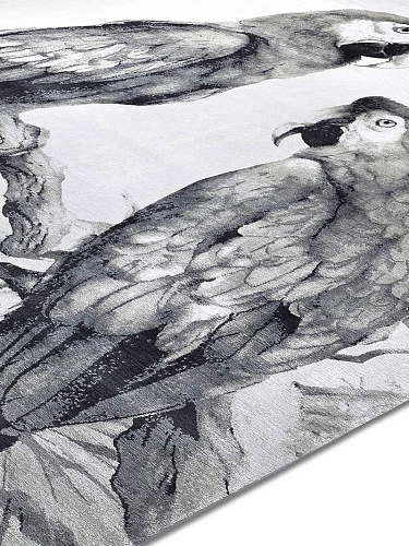 Two Parrots Hand-Woven Exquisite Rug
