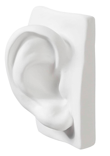 David Ear Handcrafted Sculpture
