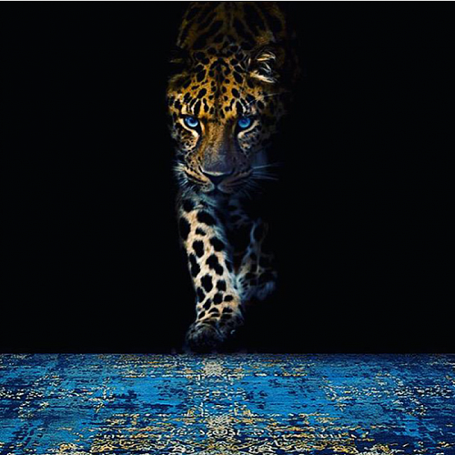 Limited Edition Abstract Rug