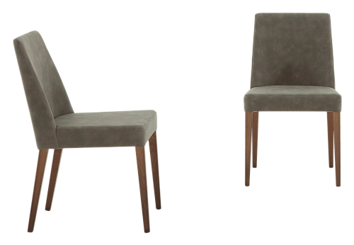 Sam Contemporary Chair