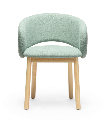 Light Green Ash Wood Chair