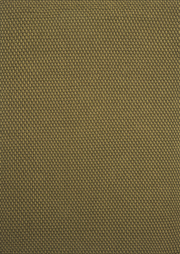 Outdoor Green Hand Woven Rug