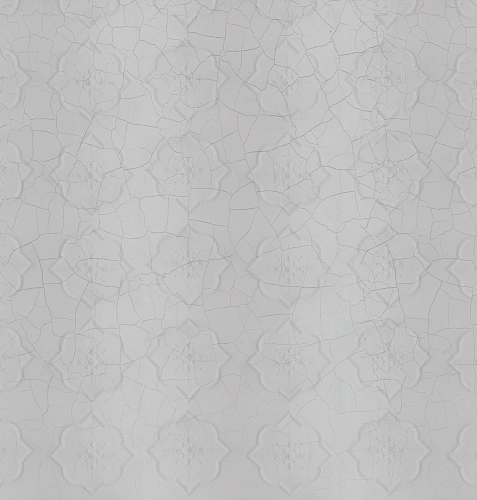 Plaster Wallcovering