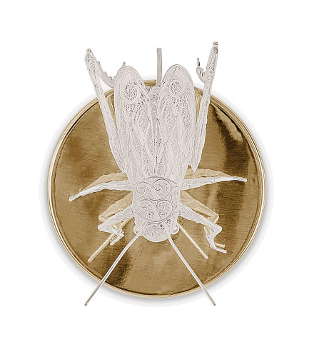 Aurora Cricket Wall Lamp