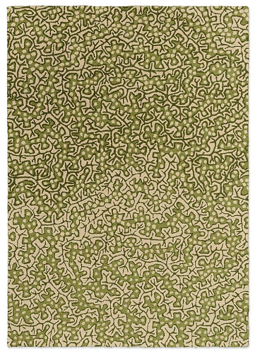 Earth Olive Outdoor Rug