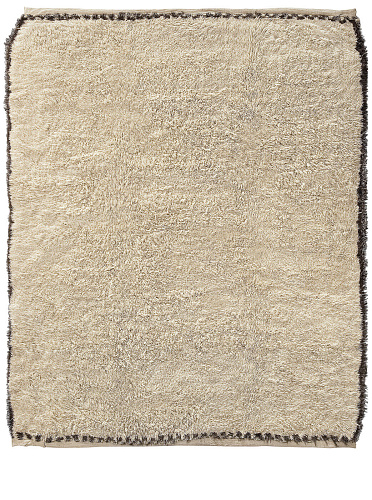 Tribal Border Luxurious Rug