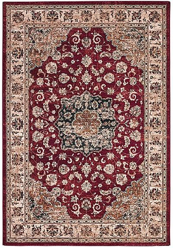 Oriental Red Indoor Rug