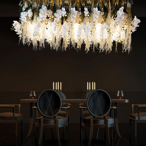 Phalaenopsis Botanical Chandelier