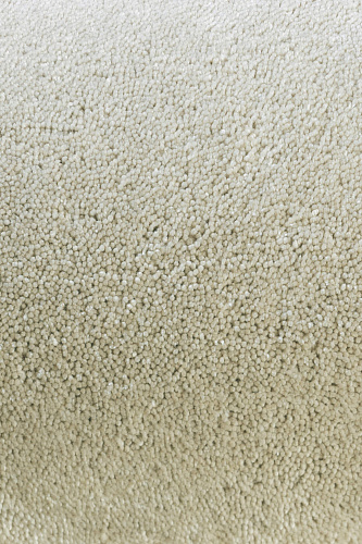 Cut Pile Hand-Tufted White Rug