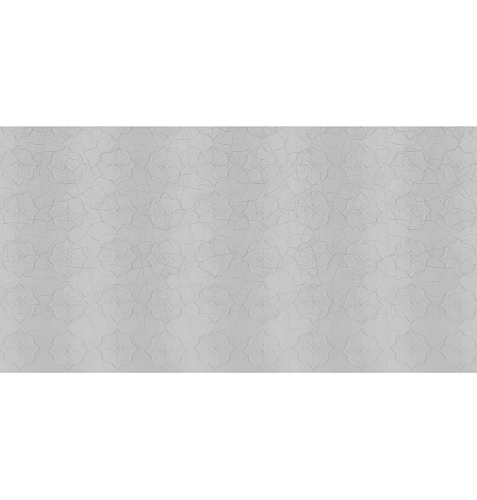 Plaster Wallcovering