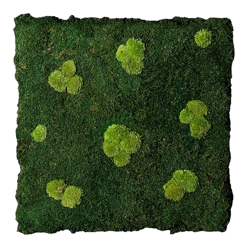 Flatmoss and Polemoss Artisan Wall Composition