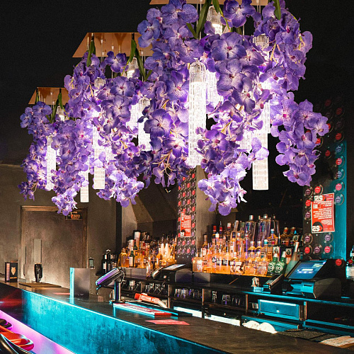 Vanda Square Artisan Chandelier