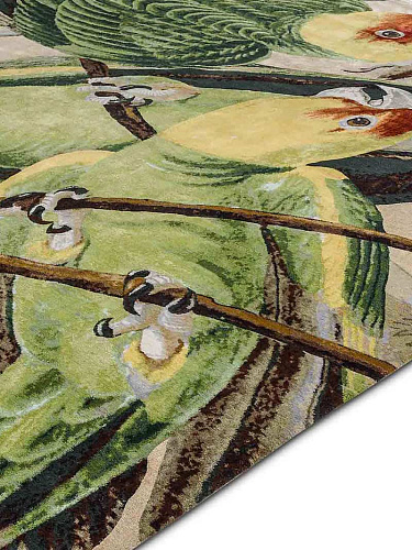 Parrots Hand-Woven Exquisite Rug