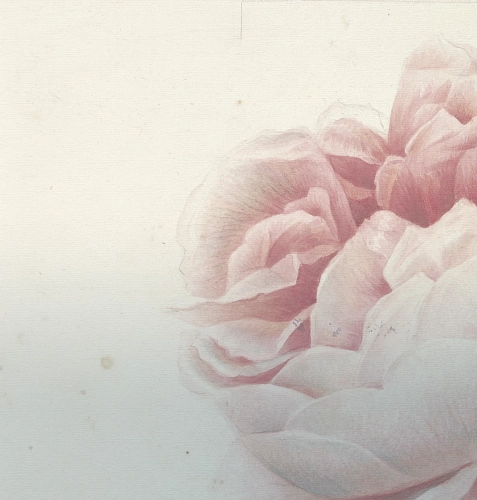 Romantic Flowers Wallcovering