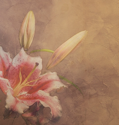 Amaryllis Wallcovering