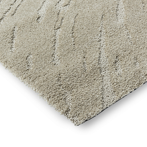 Duo Coastal Platinum Rug