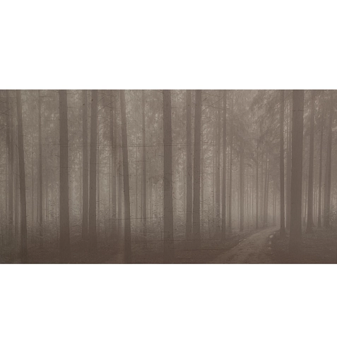 Night Forest Wallcovering