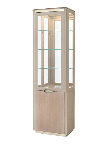 Single-Door Handcrafted Display Cabinet